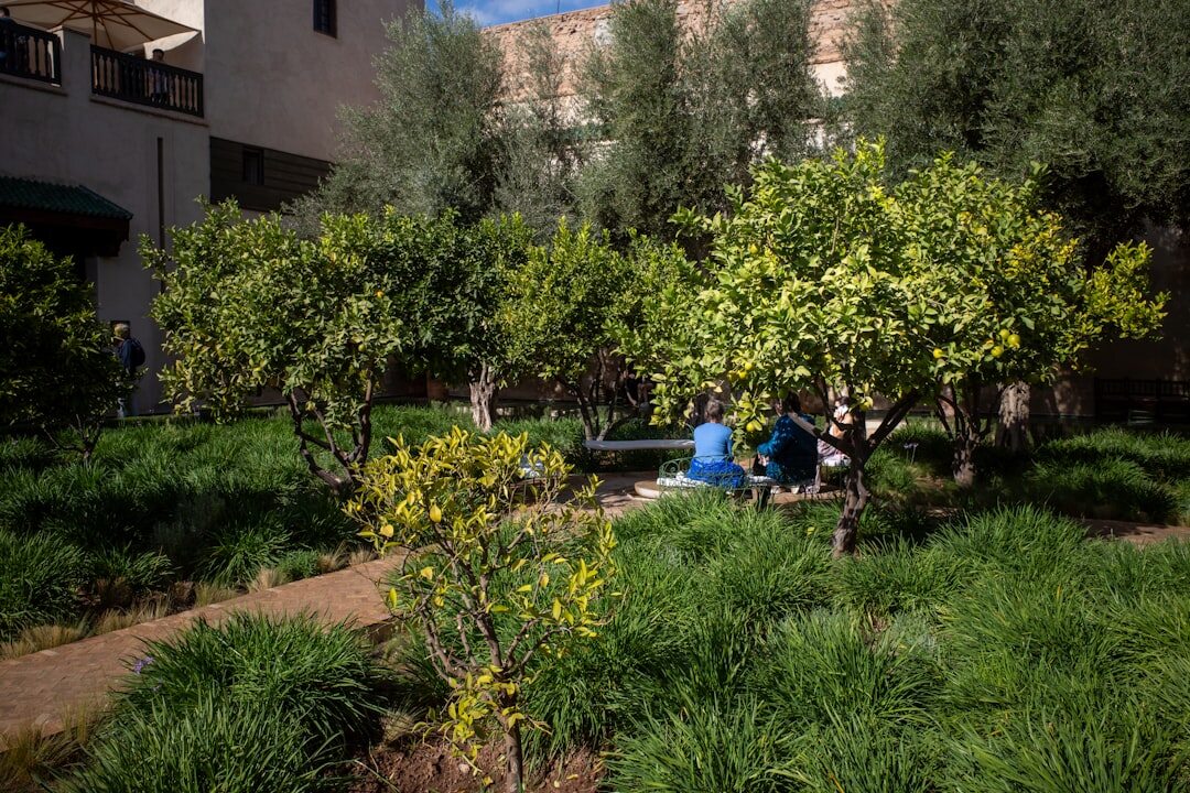 seniors chatting in garden
