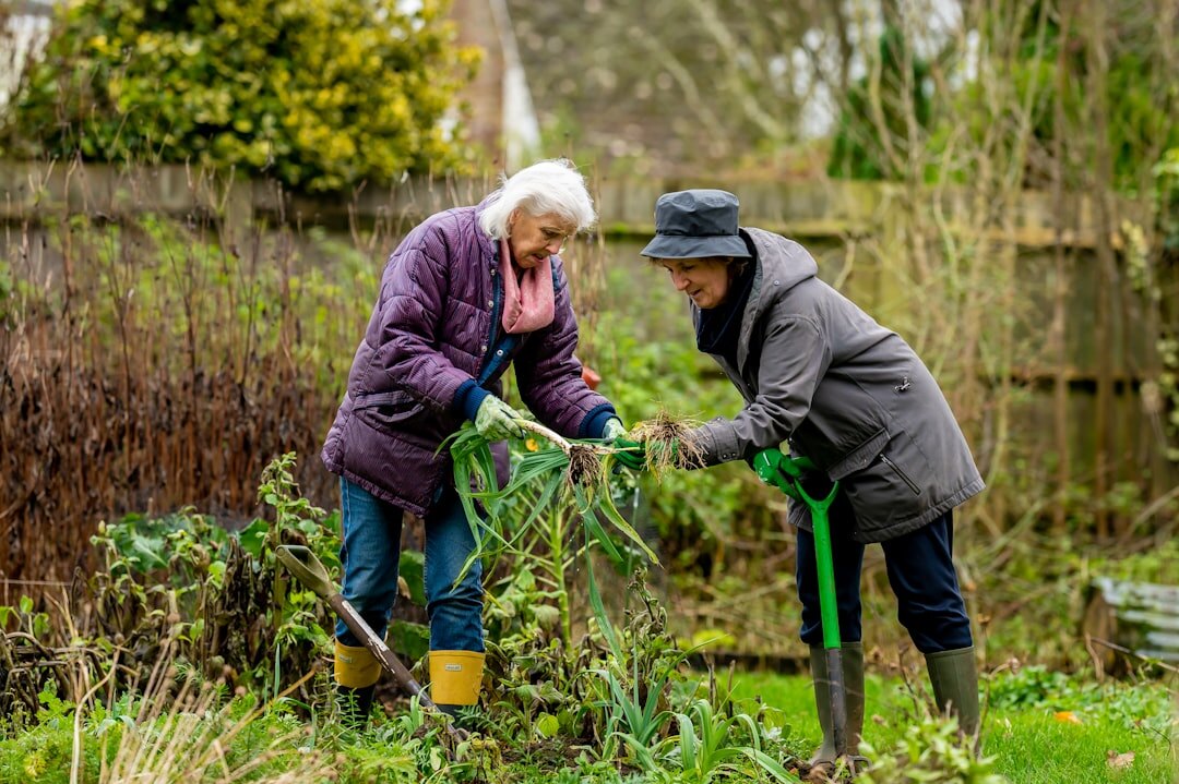 senior volunteer helping