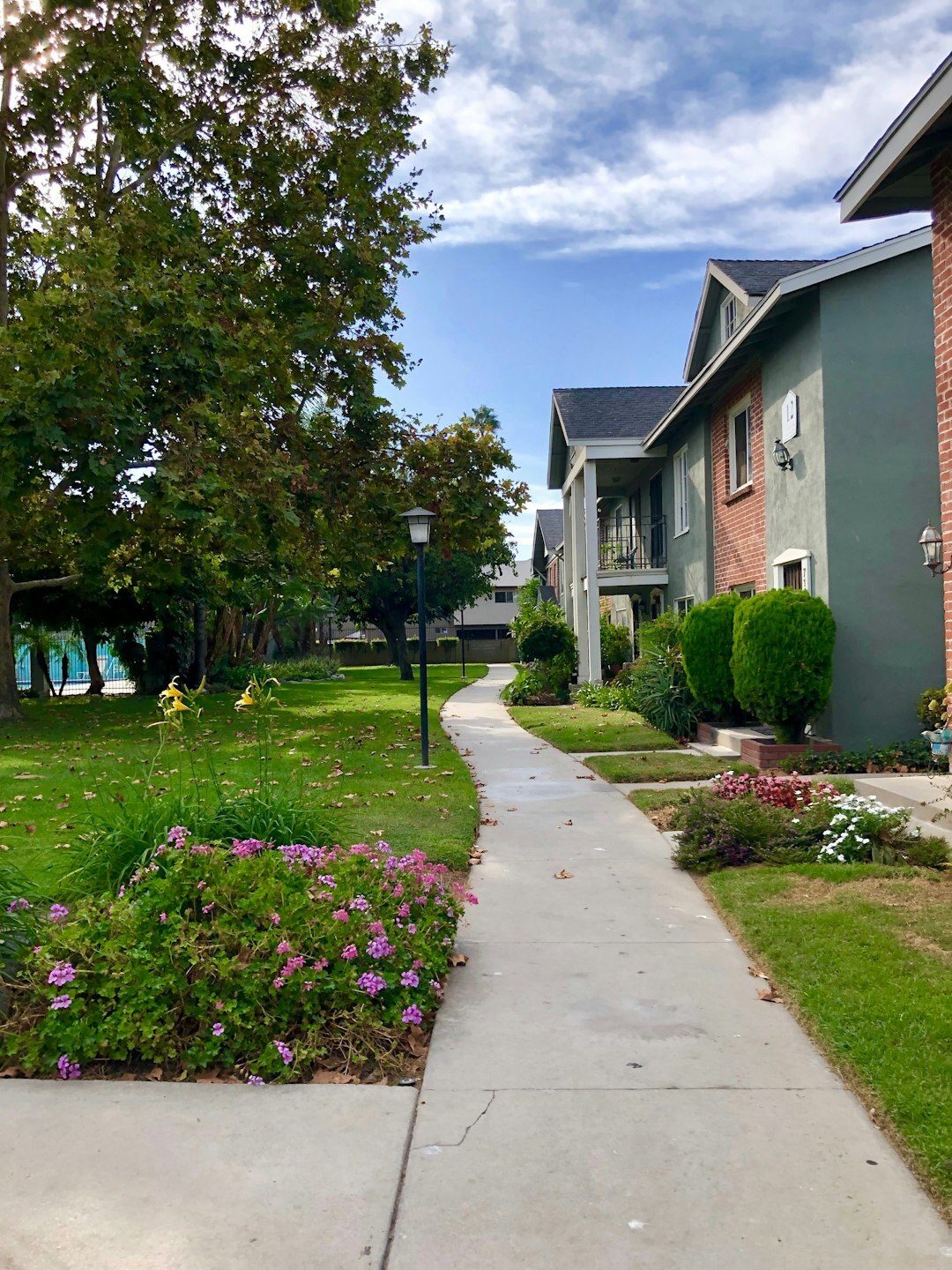 cozy senior neighborhood