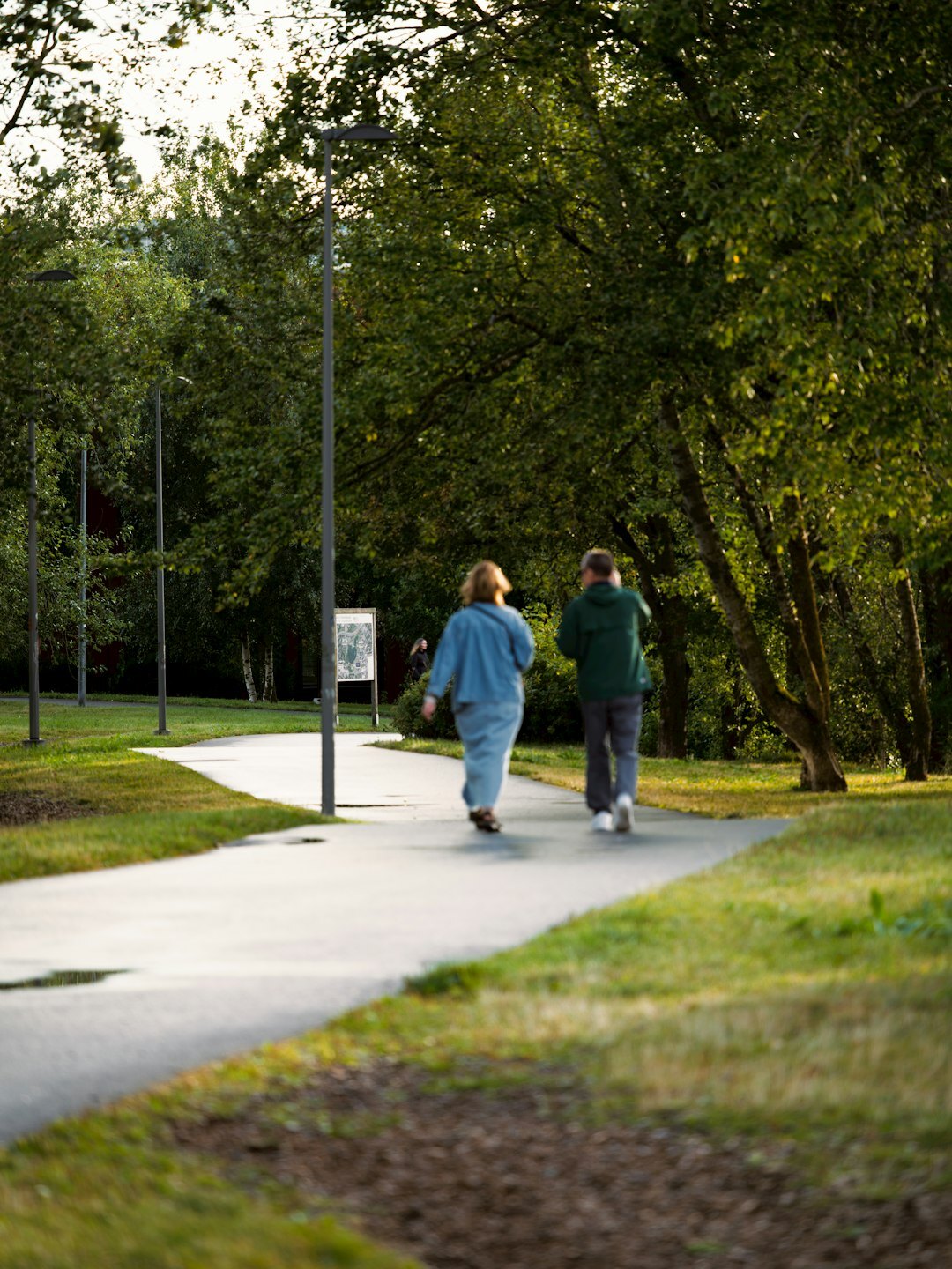seniors walking together in park