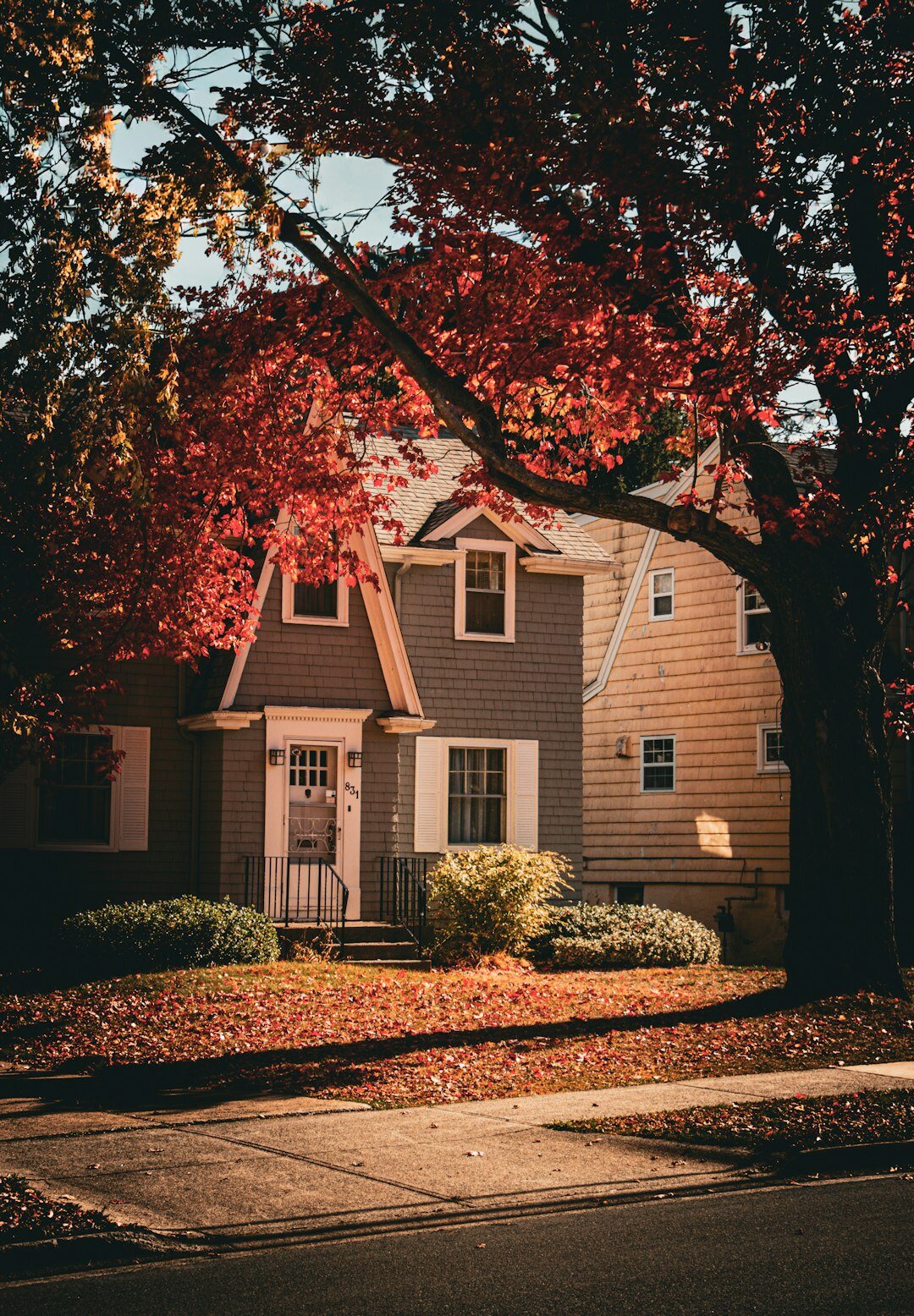 elderly couple in cozy neighborhood