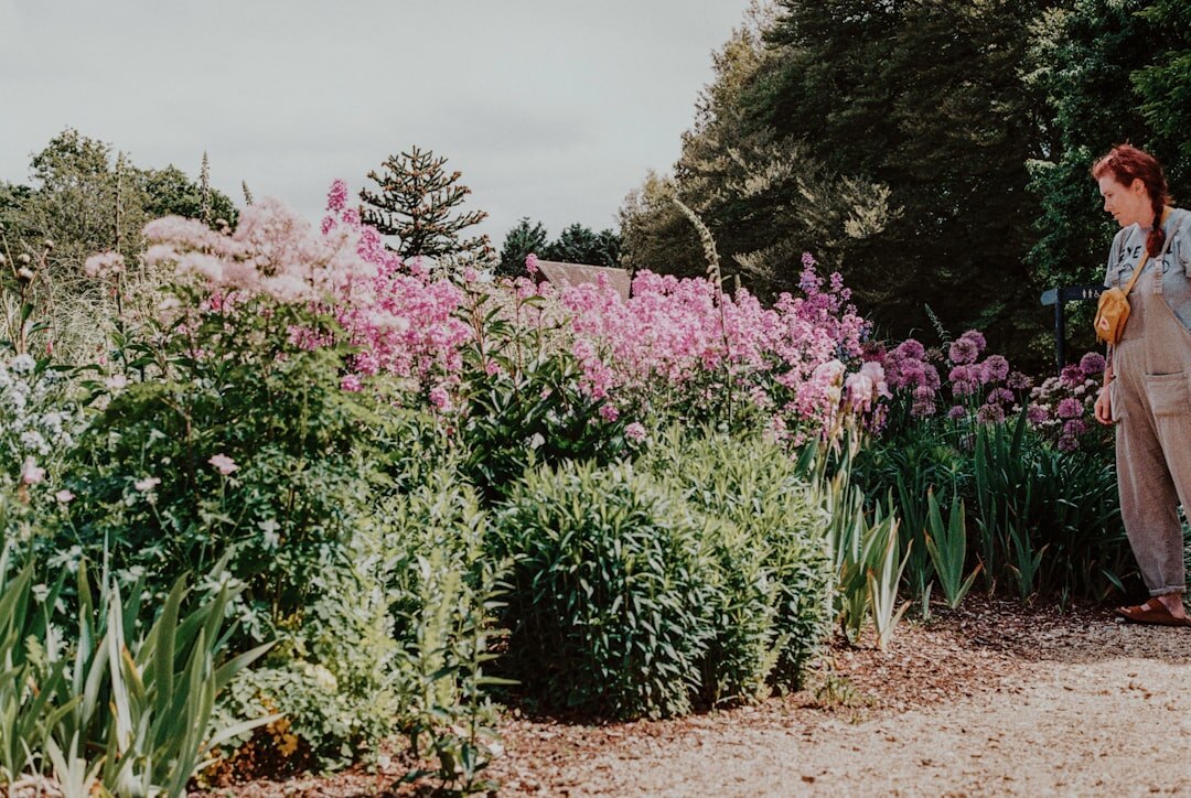 senior couple in garden