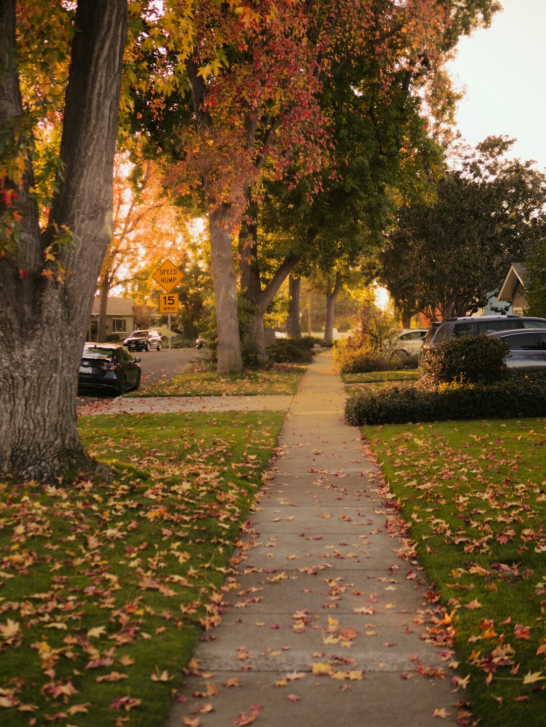 Senior friends walking together along a neighborhood path